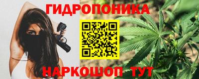дурь Кингисепп