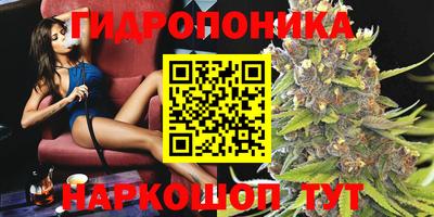 дурь Кингисепп