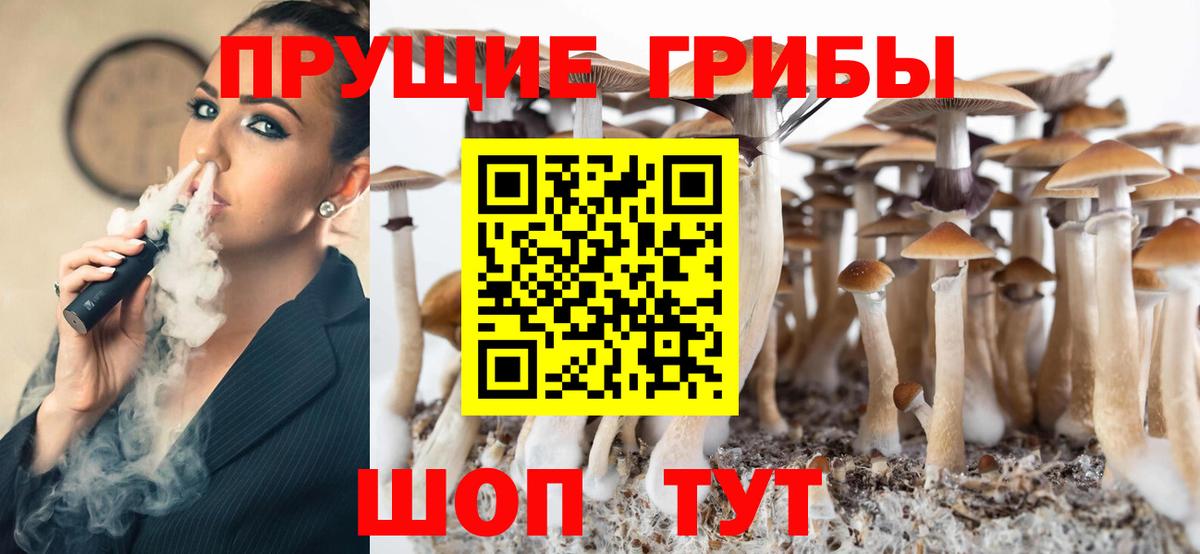 Галлюциногенные грибы Psilocybine cubensis Кострома